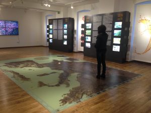 Világörökségi bormúzeum, Tokaj