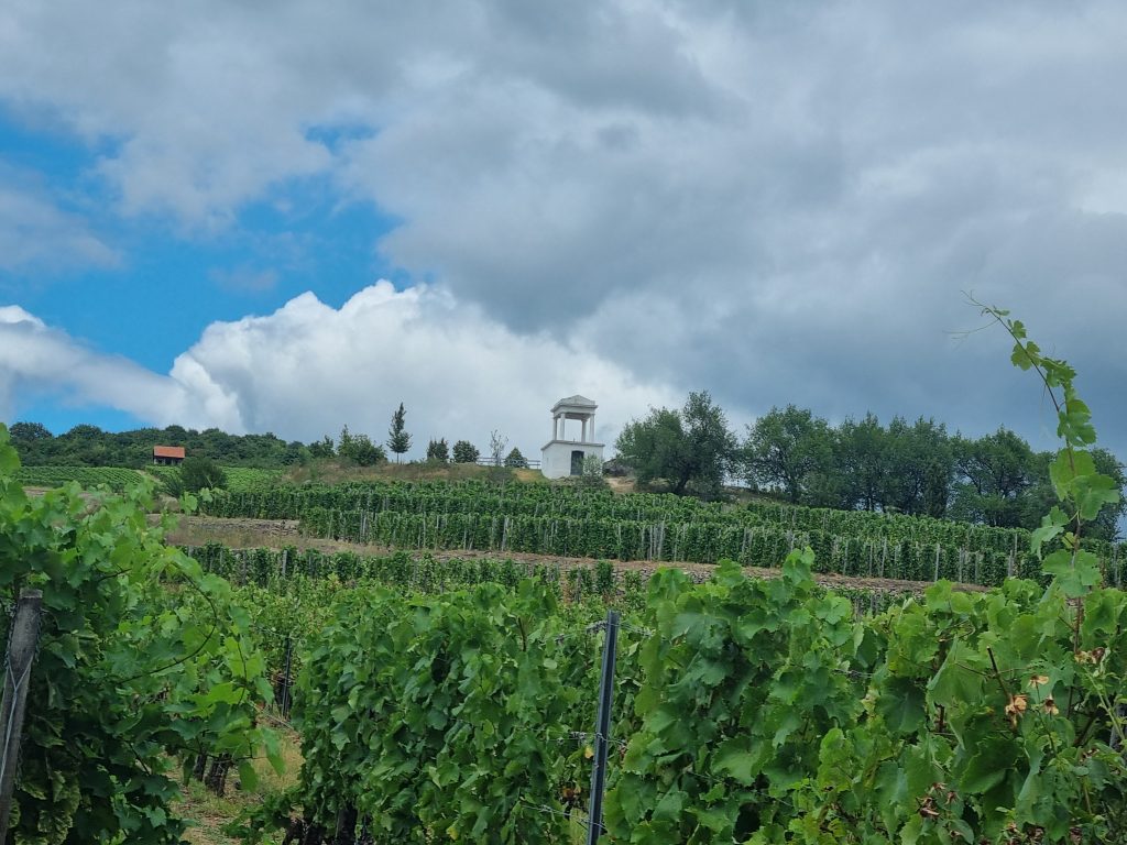 Disznókő Szőlőbirtok